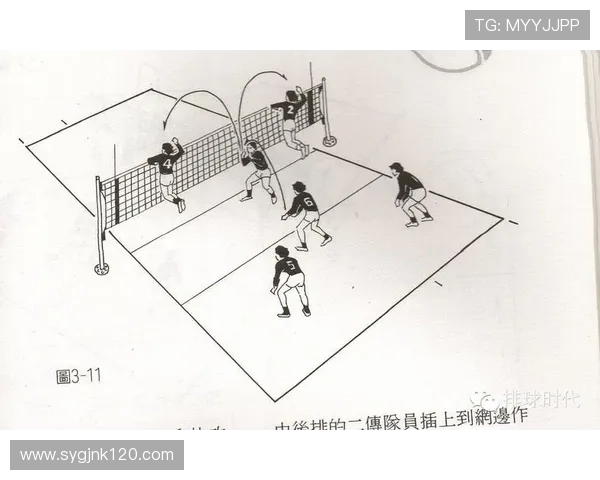 北京排球队选拔赛战术分析与表现评估全面解读