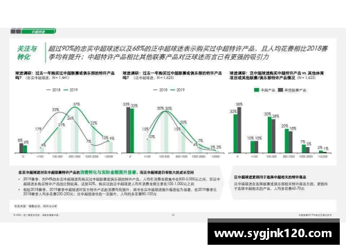 足球球员效率评估及其影响因素综述