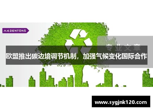 欧盟推出碳边境调节机制，加强气候变化国际合作