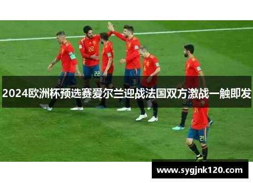2024欧洲杯预选赛爱尔兰迎战法国双方激战一触即发