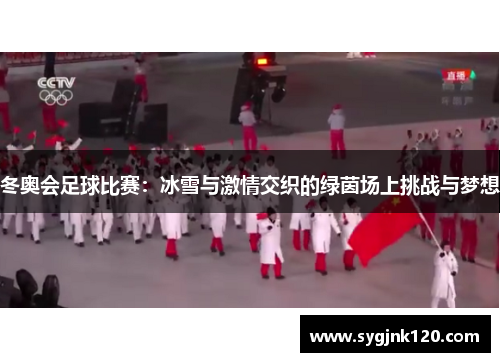 冬奥会足球比赛：冰雪与激情交织的绿茵场上挑战与梦想