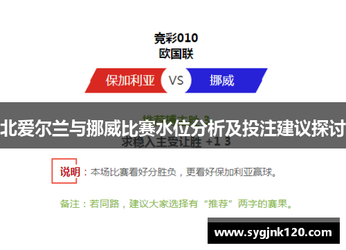 北爱尔兰与挪威比赛水位分析及投注建议探讨